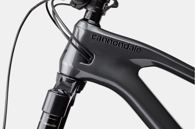 2021 Cannondale Jekyll 2 Trail Bike in Grey-2